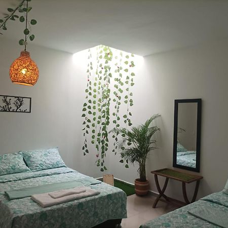 Cafe Hotel Boutique Kjtagua 산힐 외부 사진
